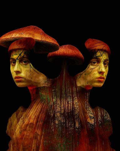 Mushroom woman